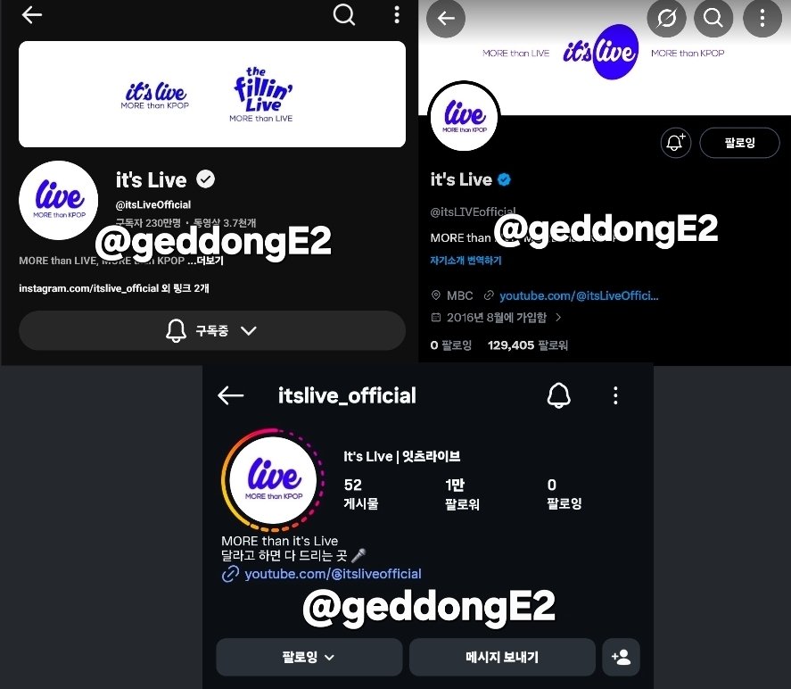 개똥이 tweet media