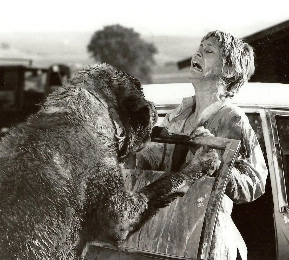 Martin 🏳️‍🌈 🏳️‍⚧️ 🎃 tweet media