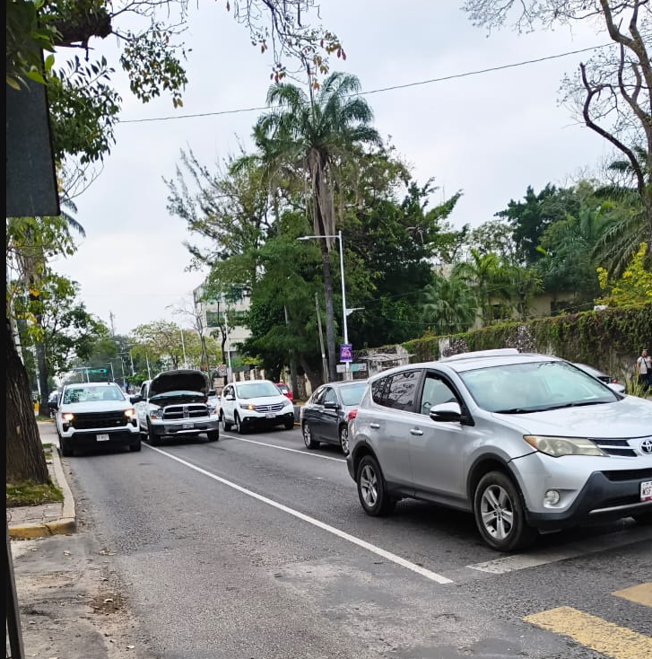 xevtfm's tweet photo. ⚠️ #Alerta ⚠️ Camioneta descompuesta sobre Paseo Tabasco casi esquina con Av. Méndez, con dirección a Tabasco 2000 https://t.co/BWBHisgoXR