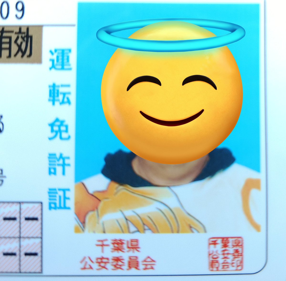 ぶっきー🍍🪽 tweet media