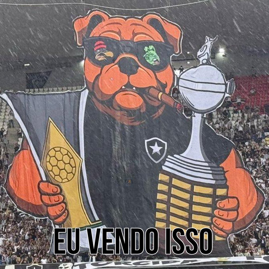 Botafogo neles ! ★彡 tweet media