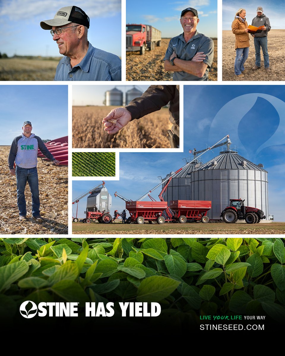Stine Seed Company tweet media