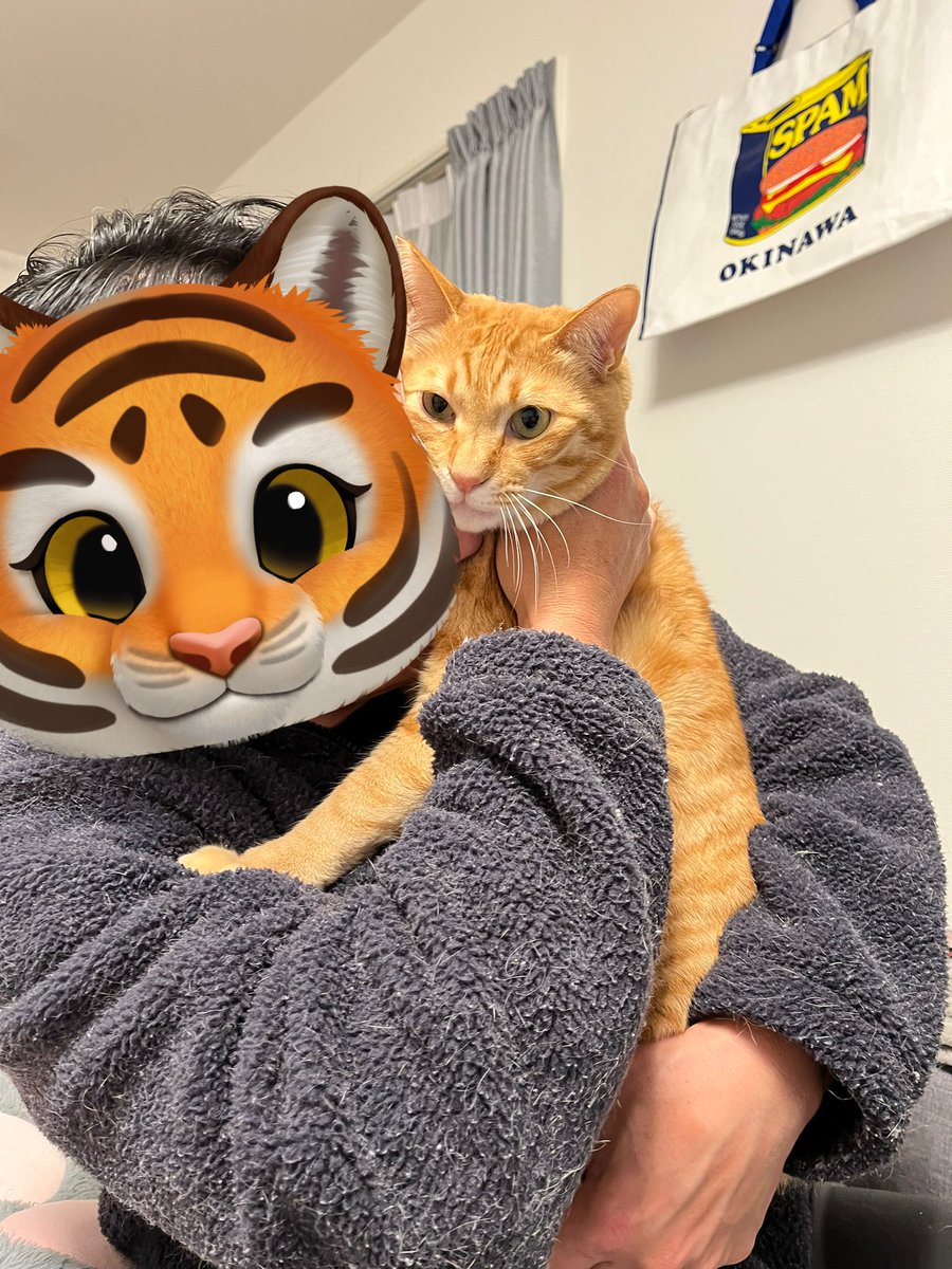 えりねこ🐱 tweet media