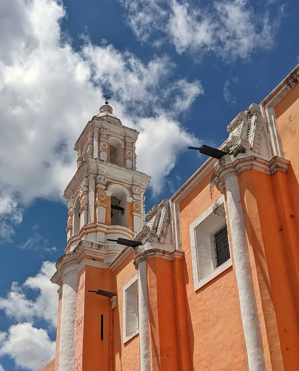 Silvia Argüello tweet media