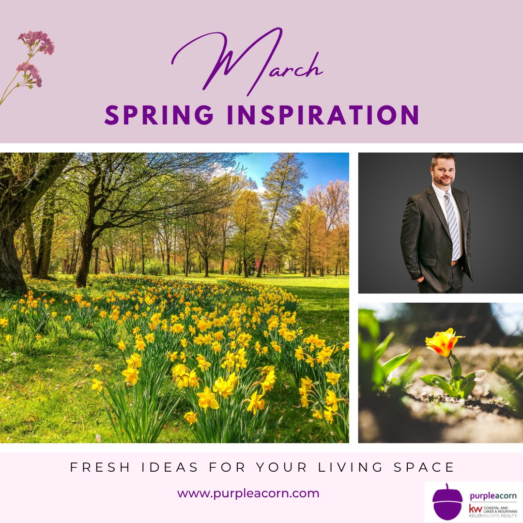 MarcusKatkin's tweet photo. Fresh blooms, fresh ideas—spring is the perfect time to reimagine your living space! 🌼✨
Discover inspiration with Purple Acorn and let your home shine this season.

#SpringInspiration #FreshLiving #MarcusKatkin #PurpleAcorn #HomeIdeas #KWCoastalRealty https://t.co/YRbF3ZdOX7