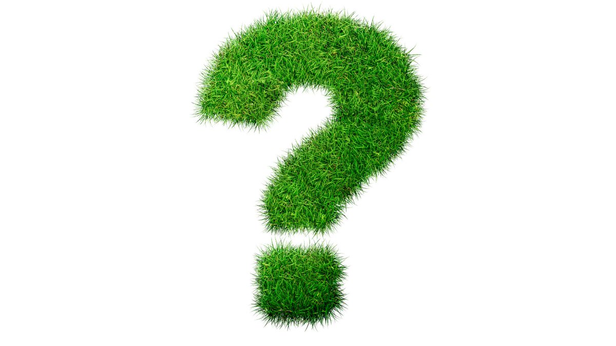 Safe Soil UK tweet media