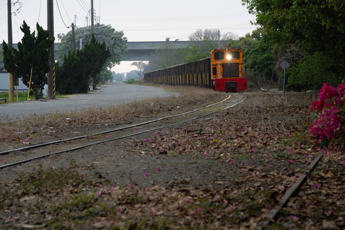 製糖季已經進入尾聲
今天只有開三趟

甘蔗產量不斷縮減，馬公厝線的未來也有點陰影

2026.03.24 第三趟也是今日最後一趟重車