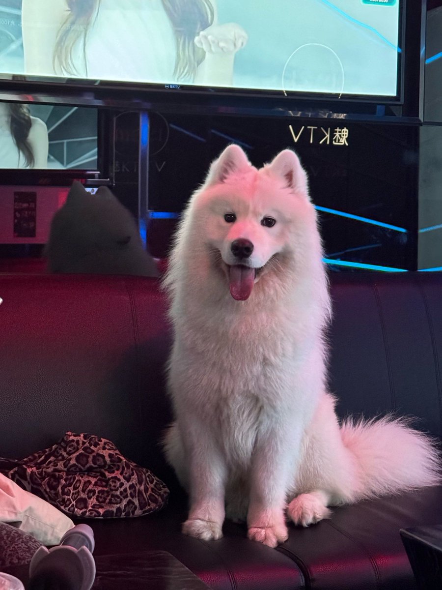 Taphzo Ndiaye tweet media