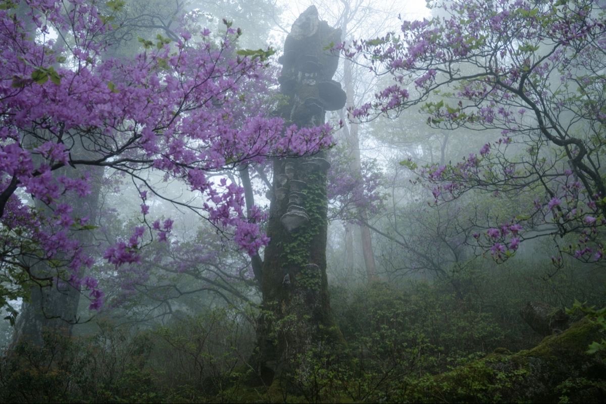 Lily ✮⋆˙ tweet media