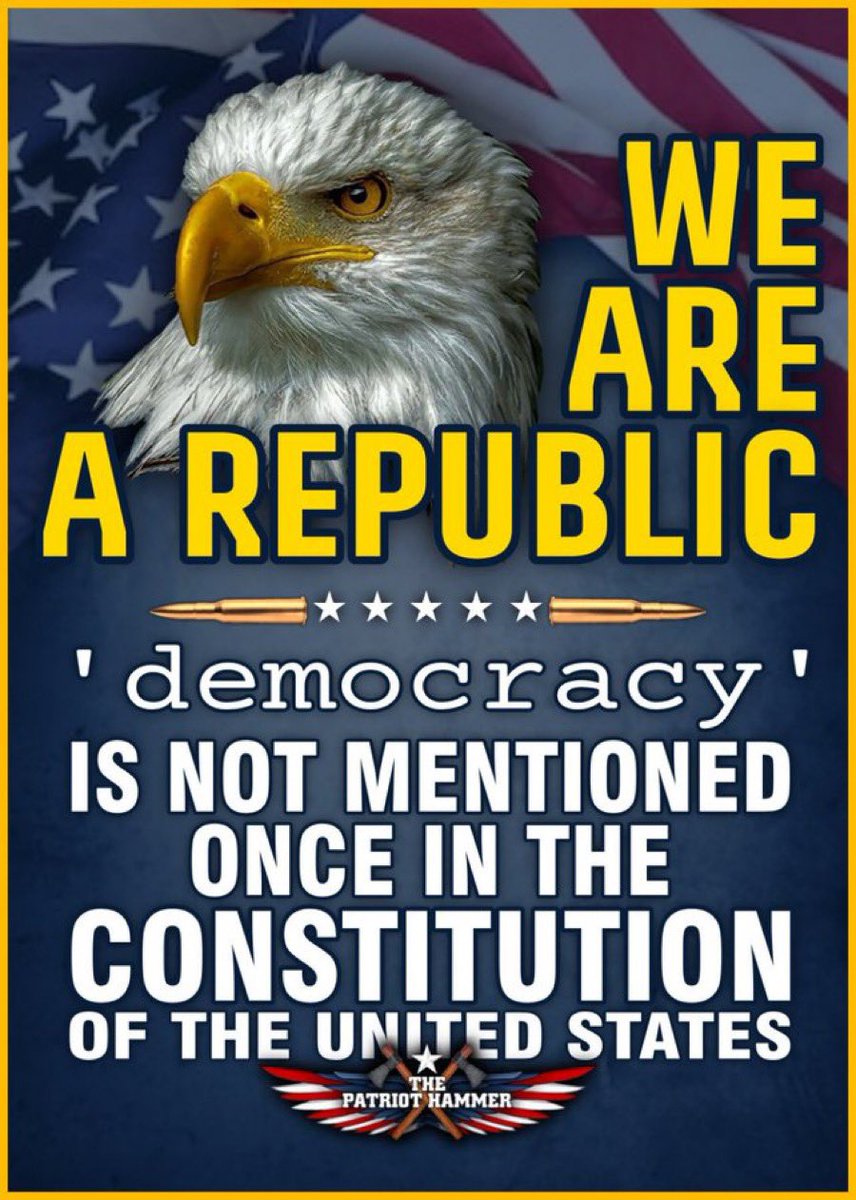 BeppiButler tweet media