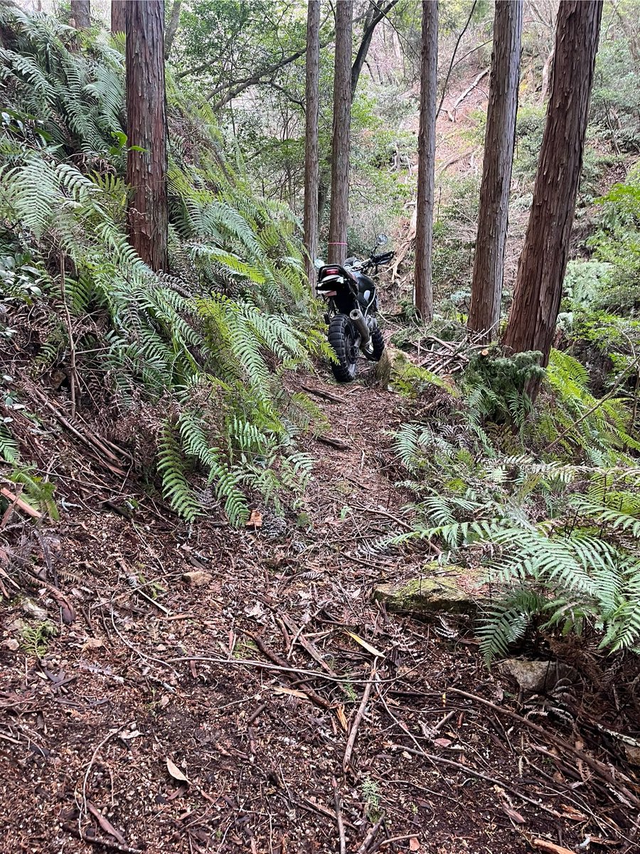 オフバンちゃん😇 tweet media