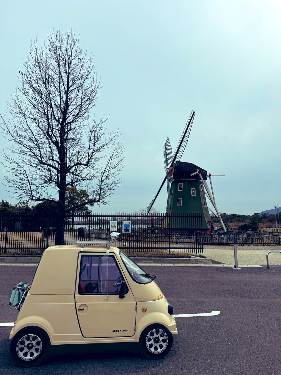 蝉時雨 tweet media