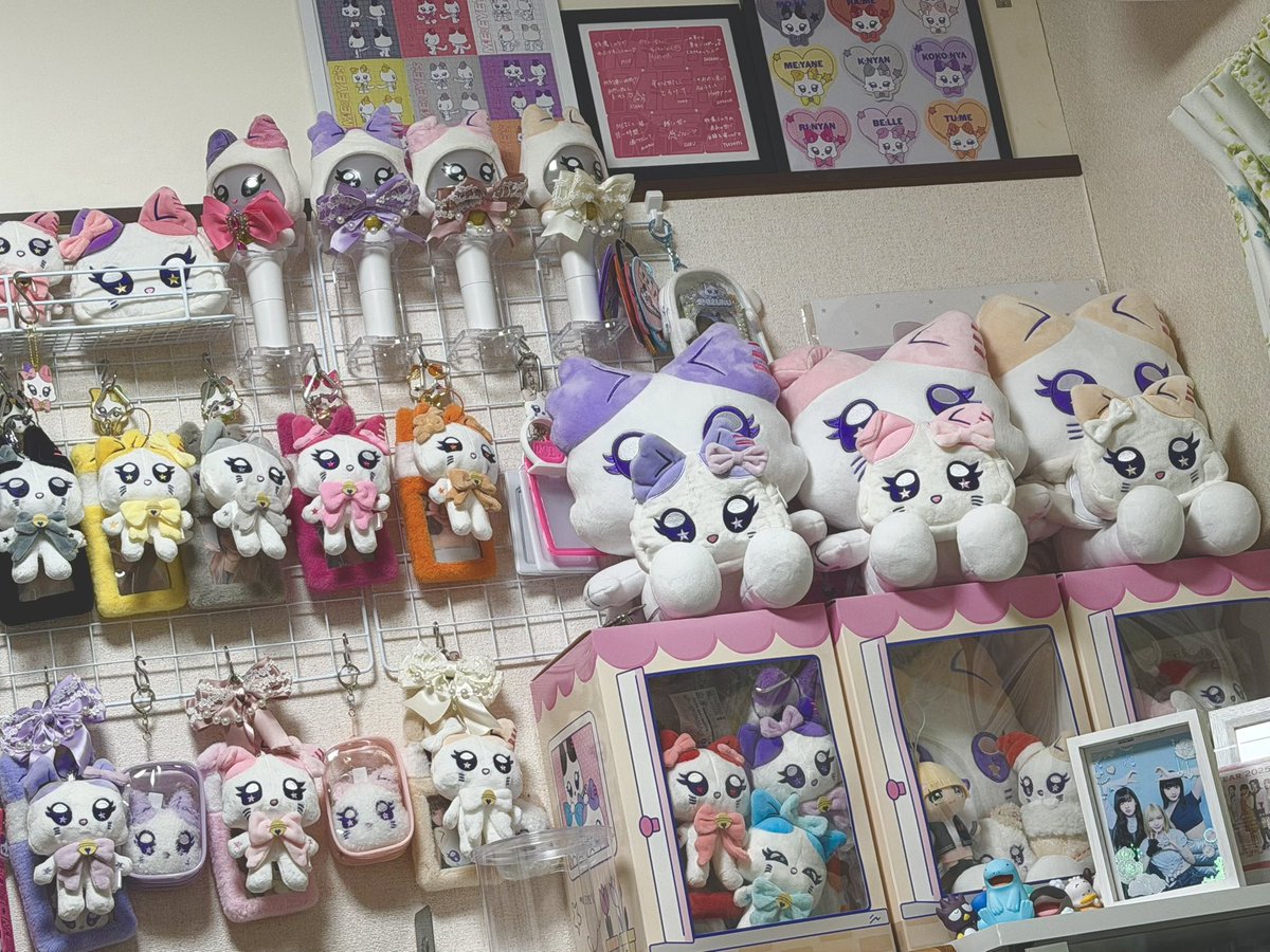 れお@ミャイズの飼育員 tweet media