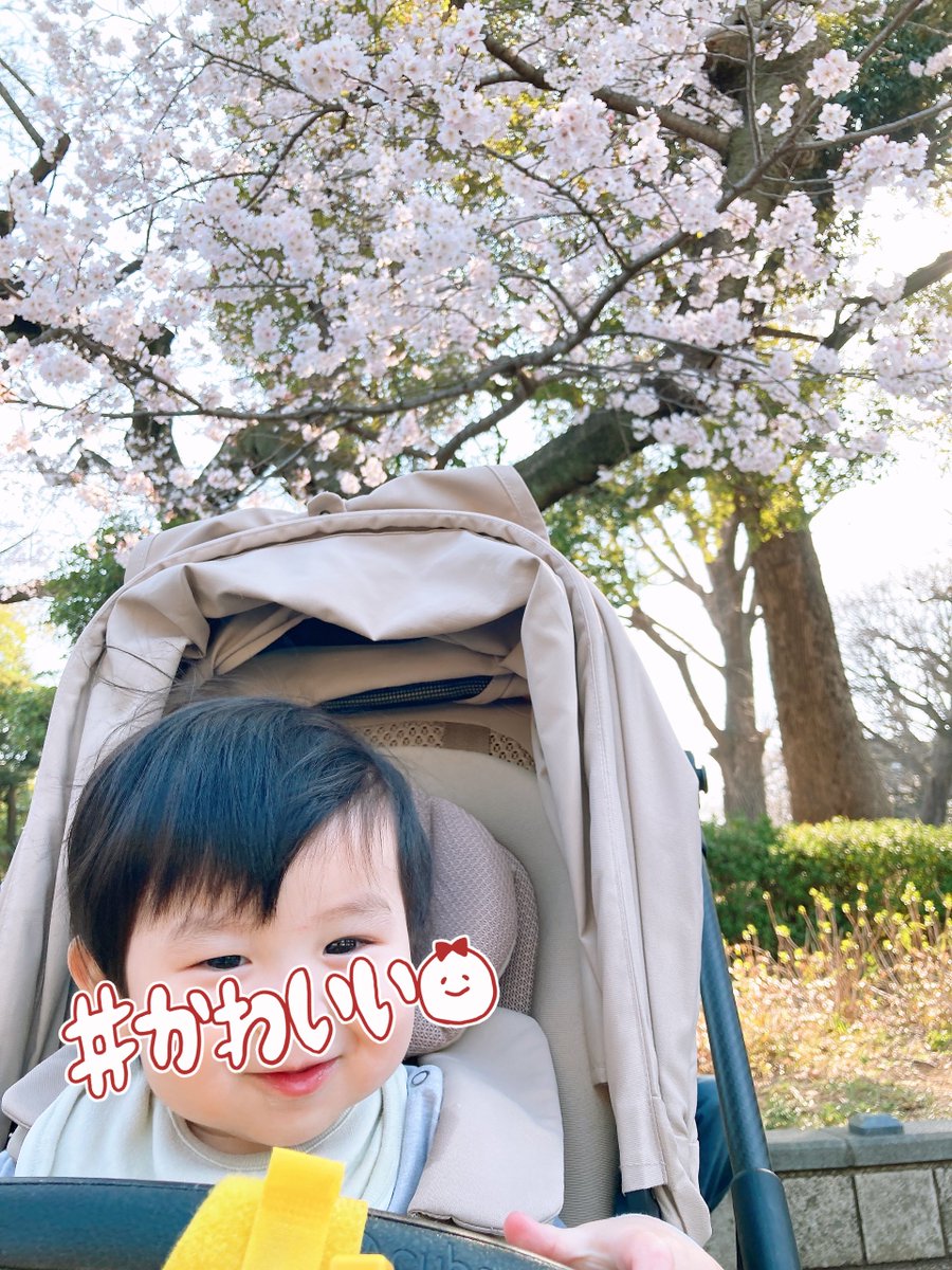 忠犬ここ⁺ ੯‧̀͡໒꒱ 🐾5/5.6かみこす、17ストフェス tweet media