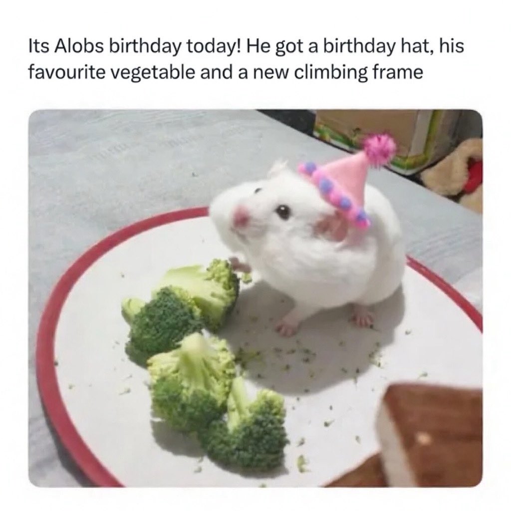 Chunky Buttons tweet media