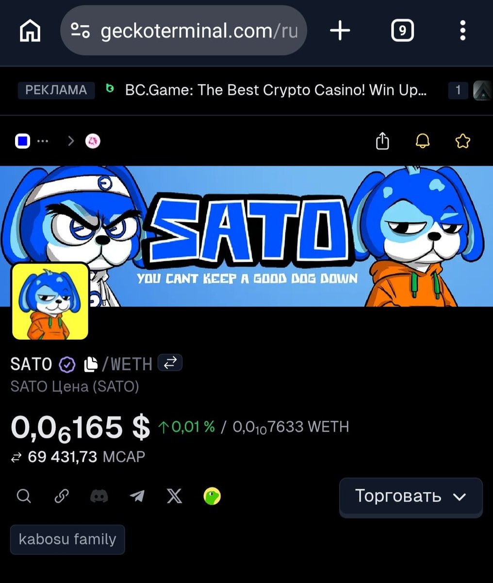SatoTheDog tweet media