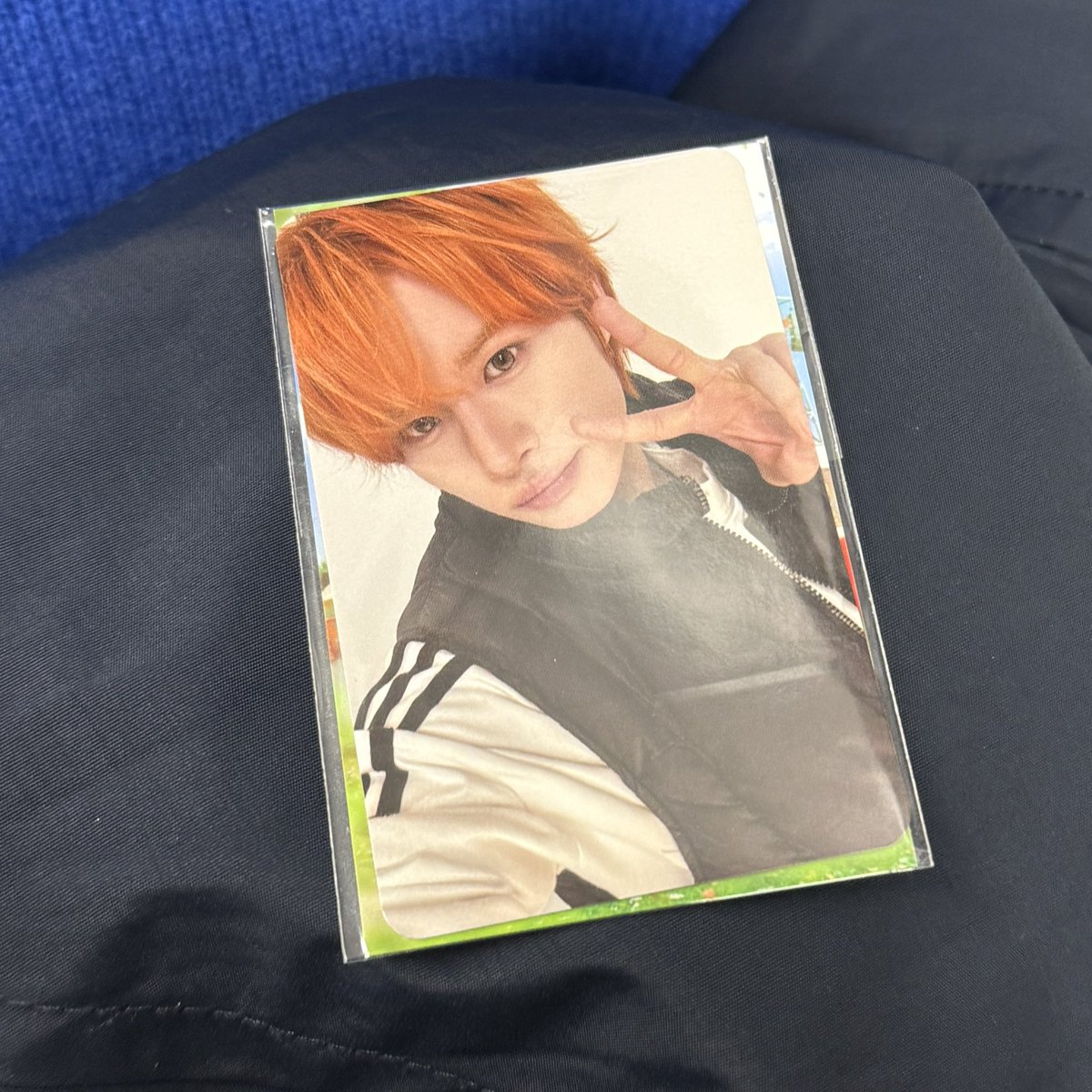 분철양도계 tweet media