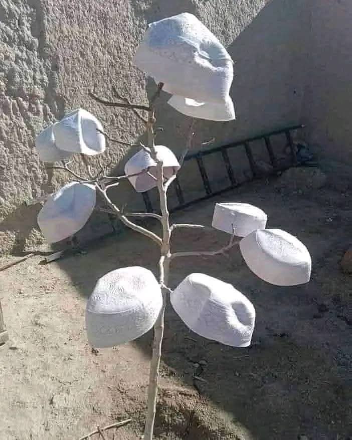 ناصر العرجاني tweet media