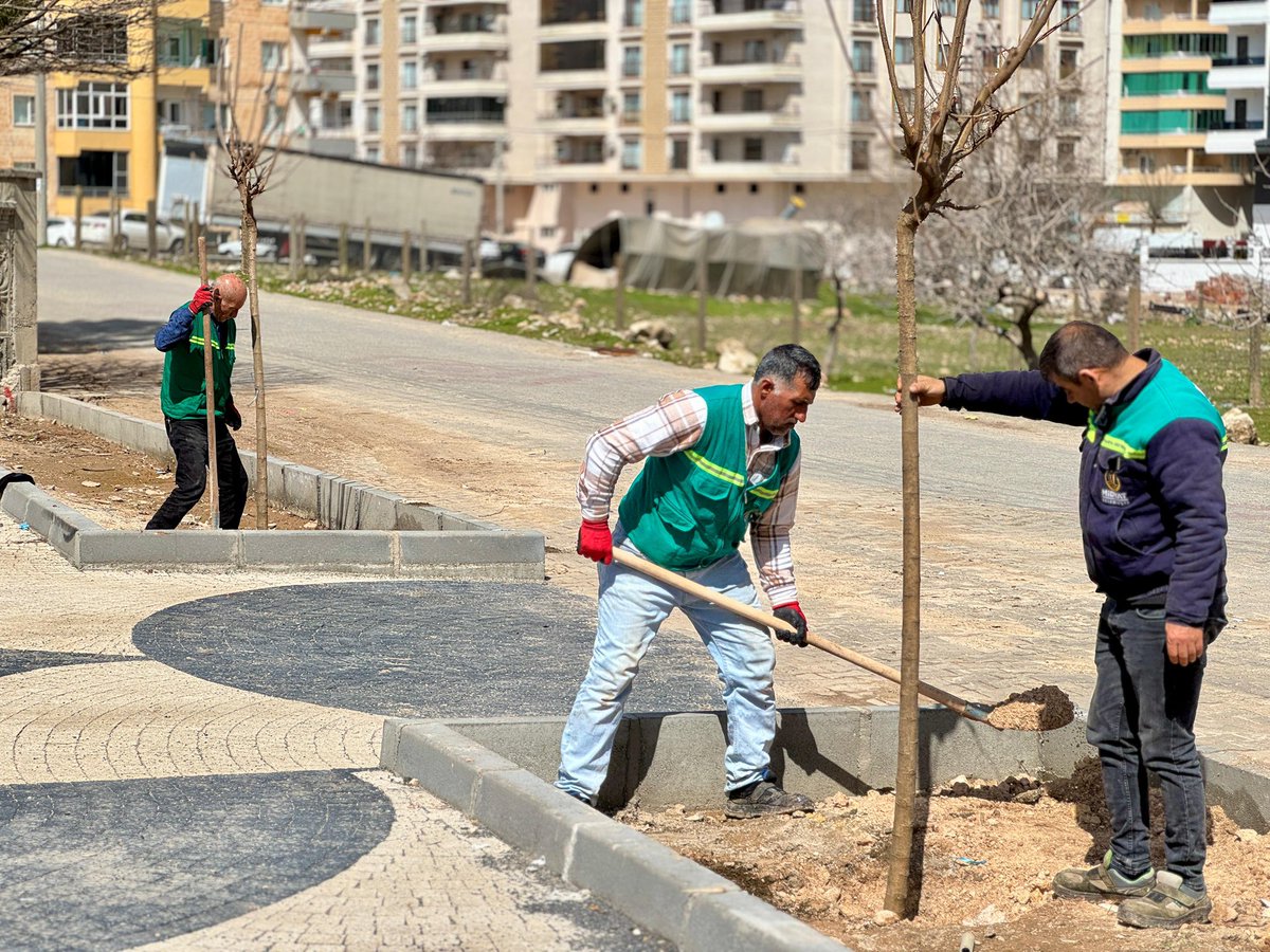 Veysi Şahin tweet media