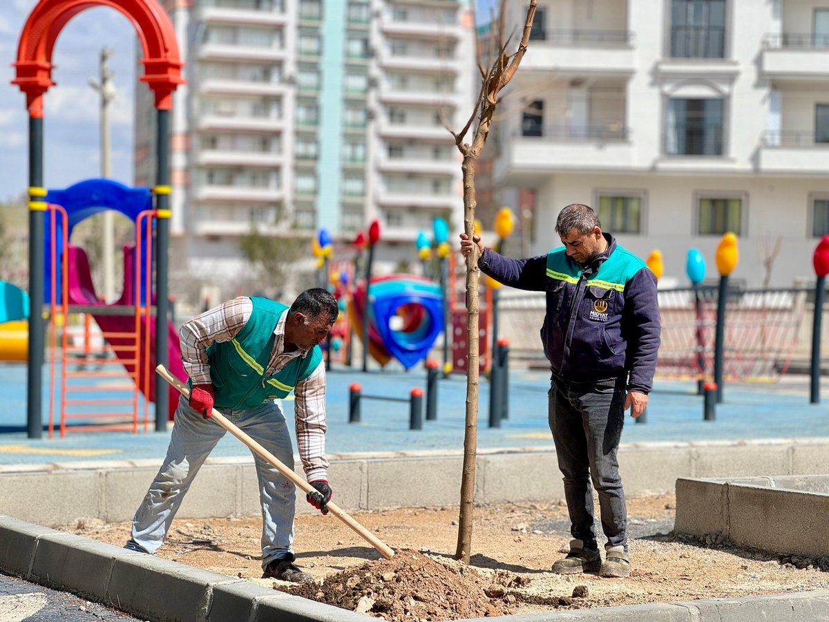 Veysi Şahin tweet media