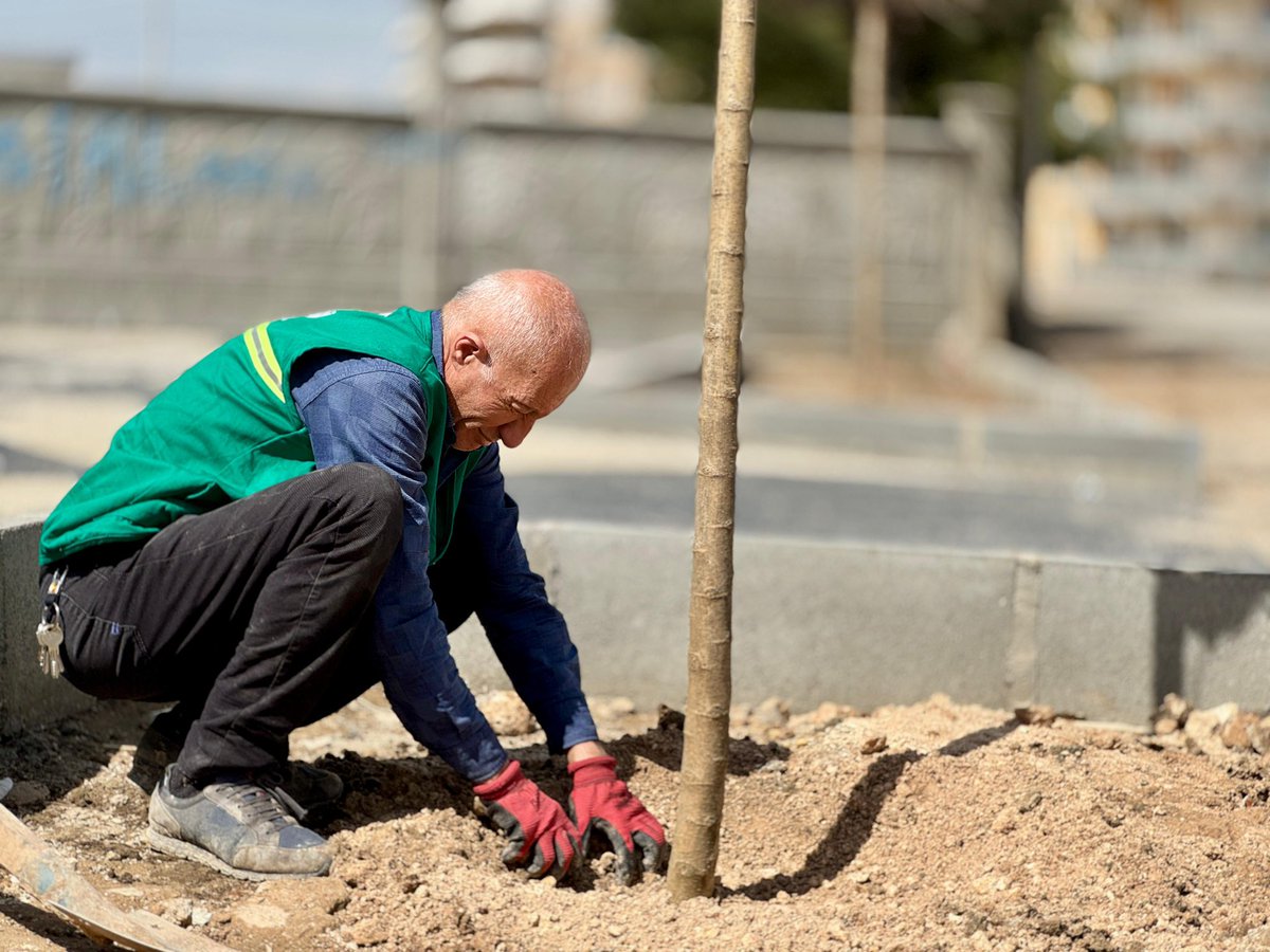 Veysi Şahin tweet media