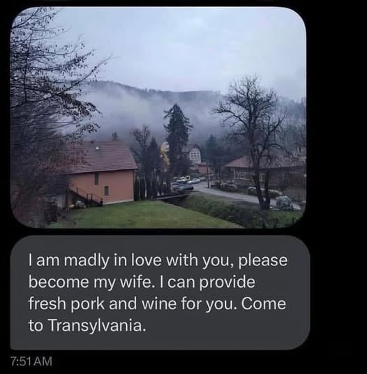 𝕵𝖆𝖉𝖊 ☧ ✠☘️🌱 tweet media