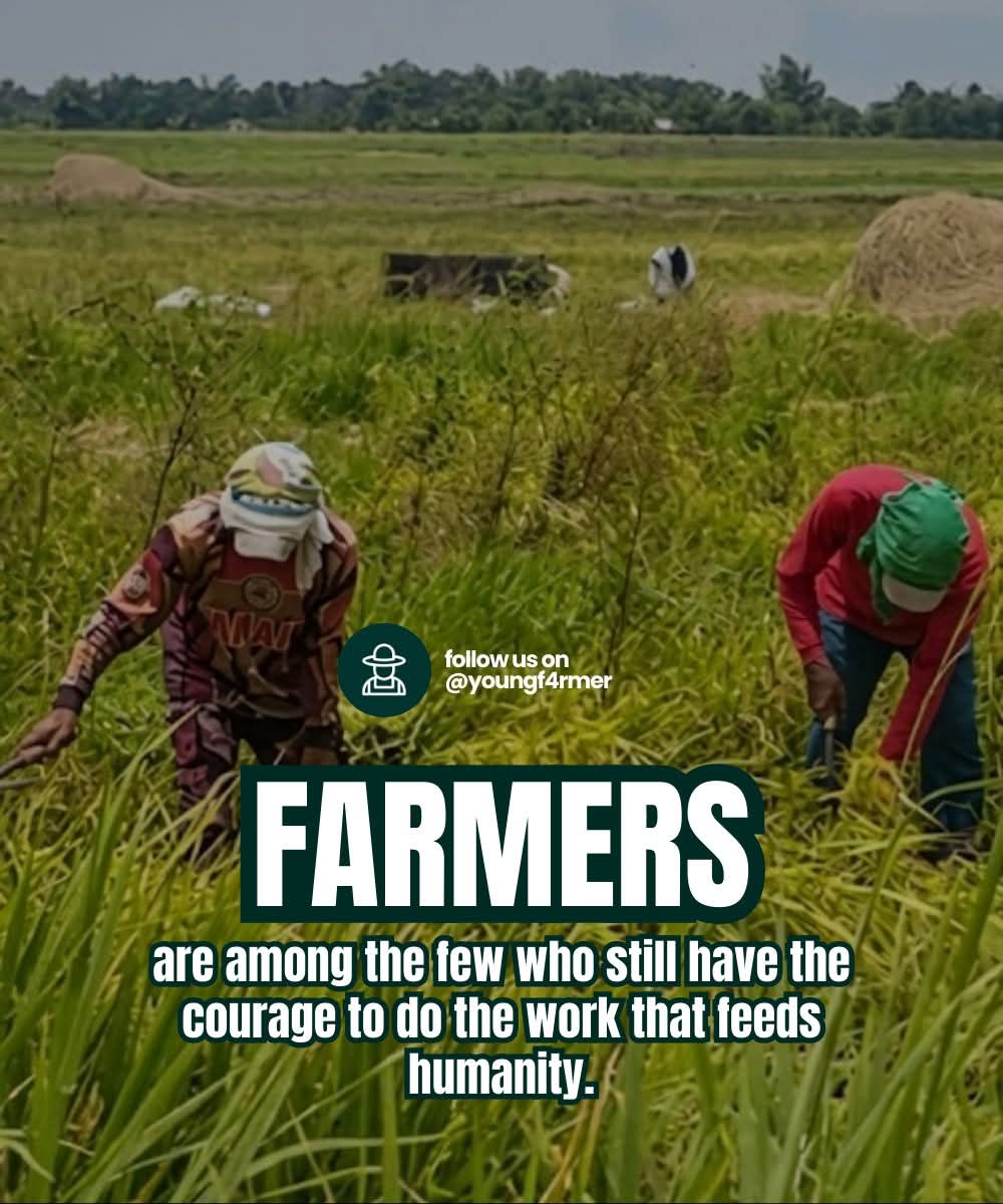 Francissca Peter tweet media