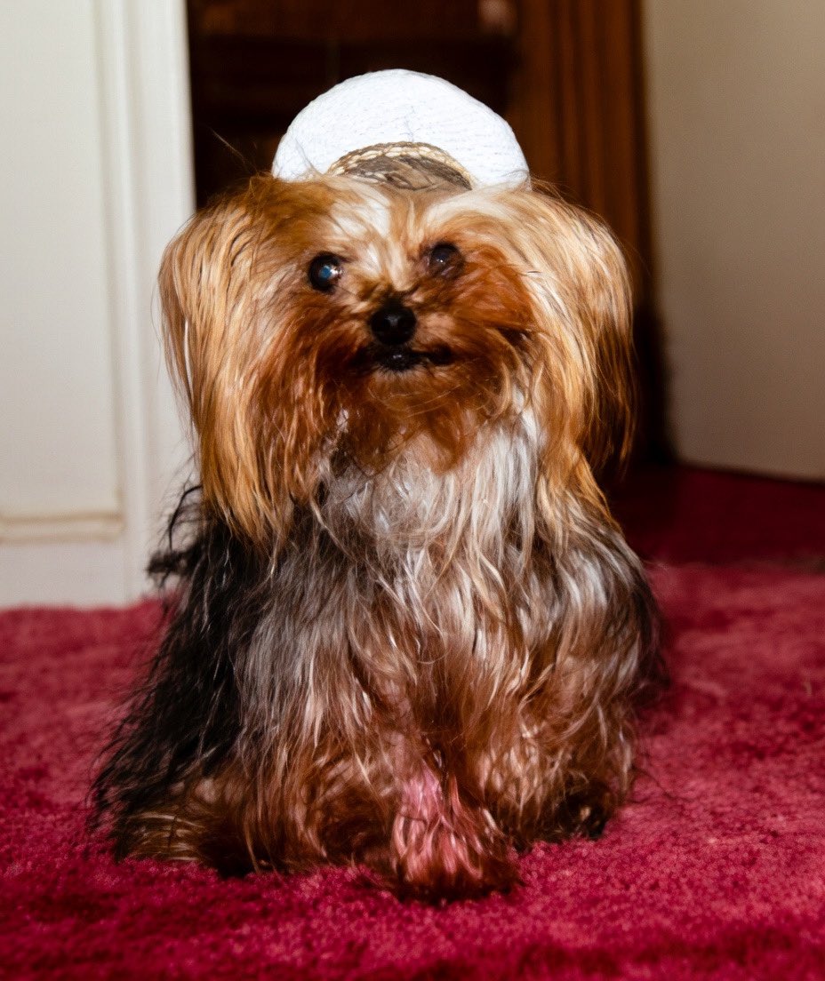 FinalBloodline tweet media