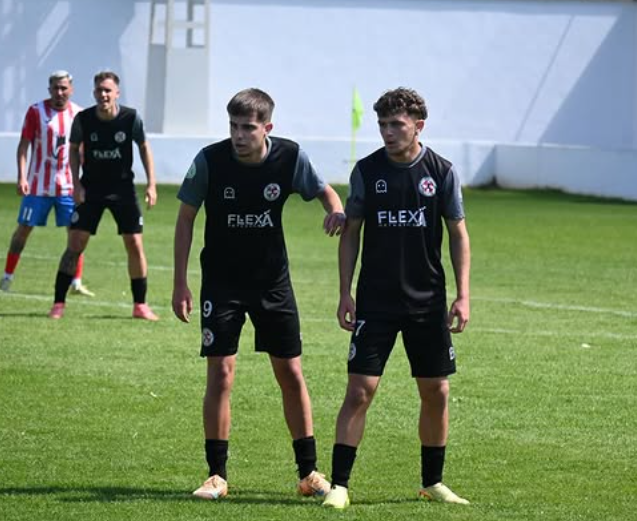 PreferenteAUT tweet media