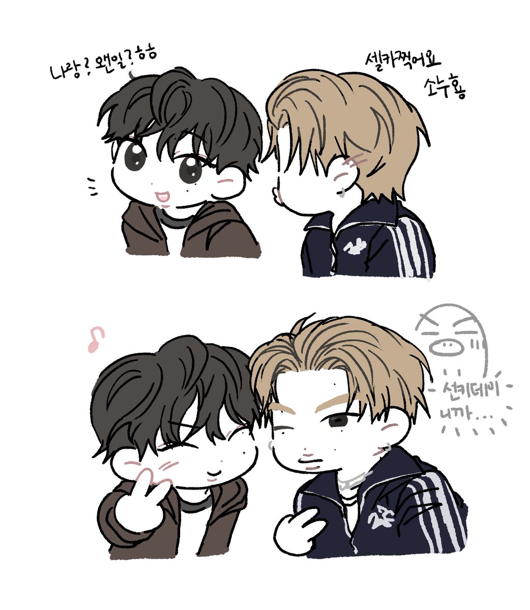 도토리수집가 tweet media