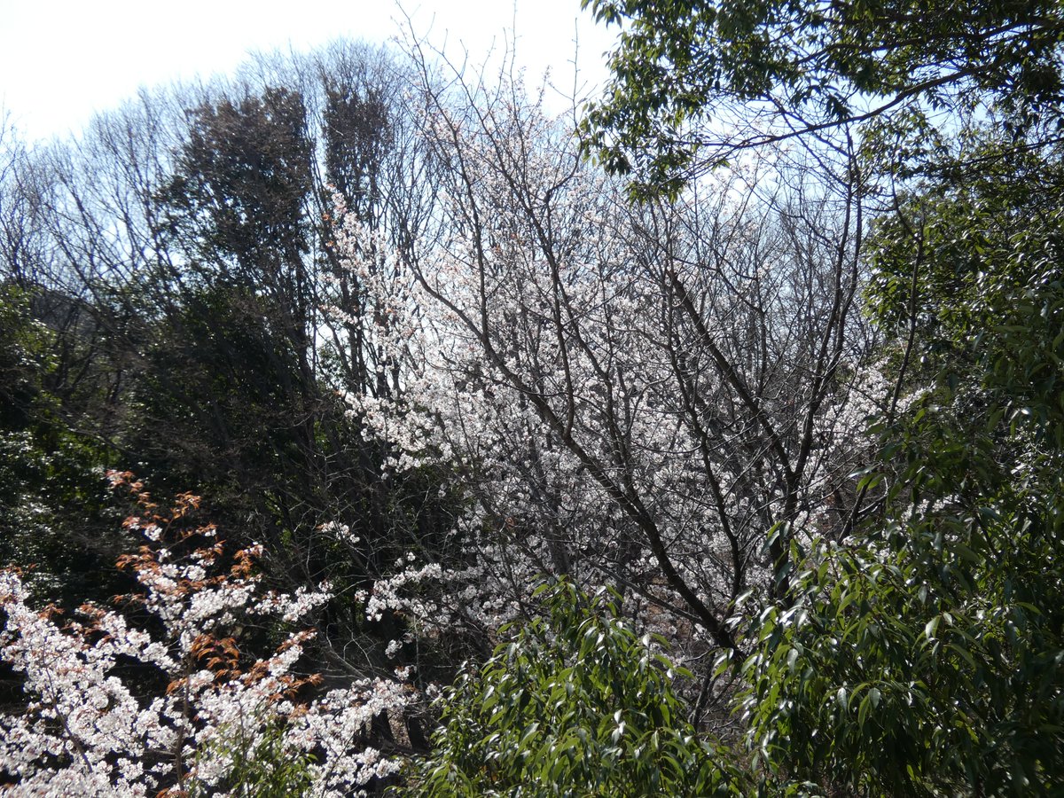 山下陽介 tweet media