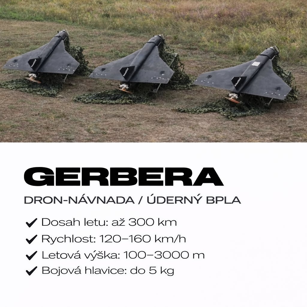 Darja Stomatova tweet media