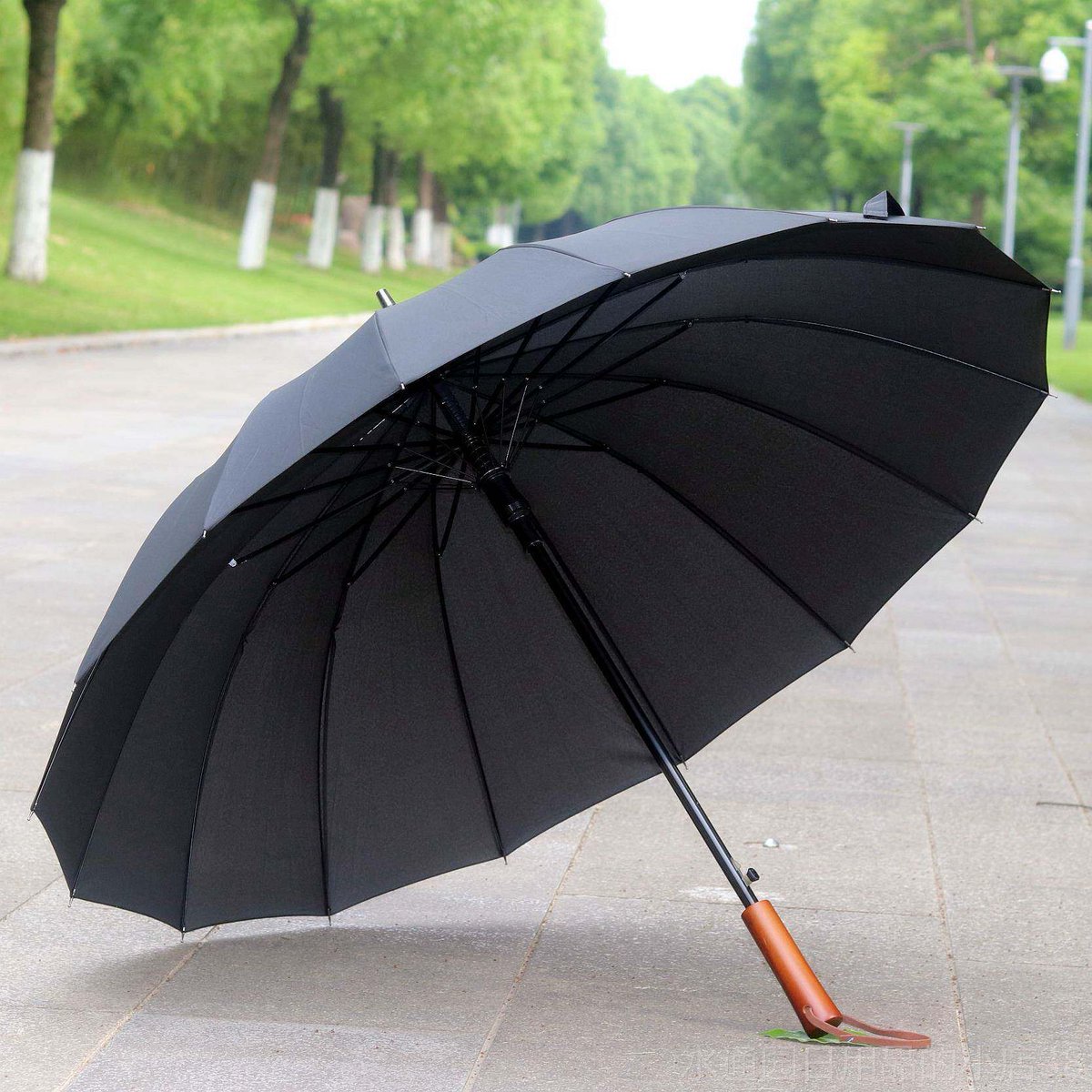 João Lopes tweet media