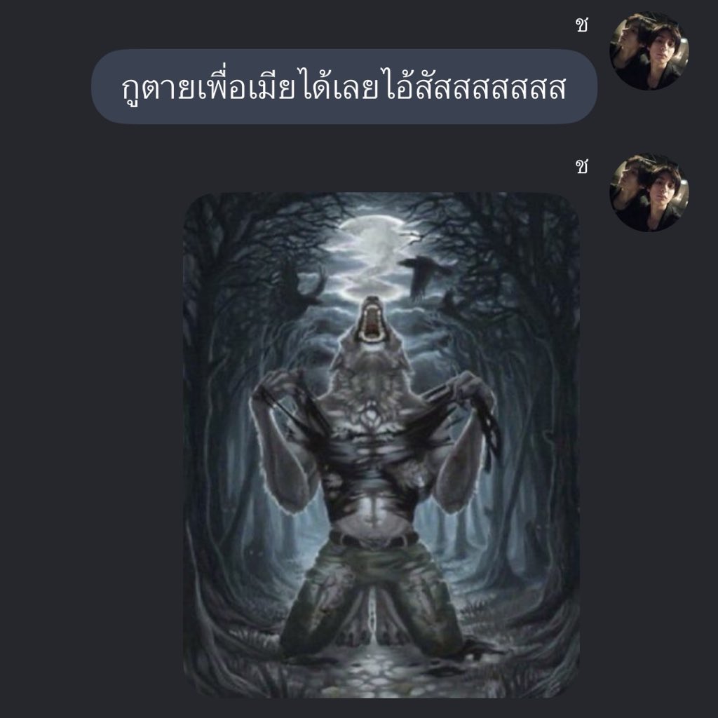 므엉🦮 tweet media