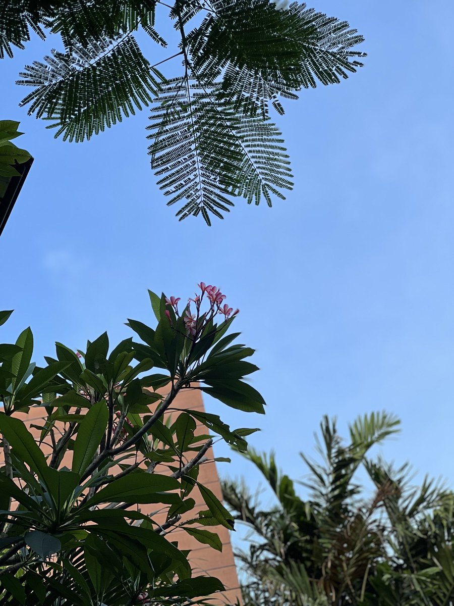 WANjangnim tweet media