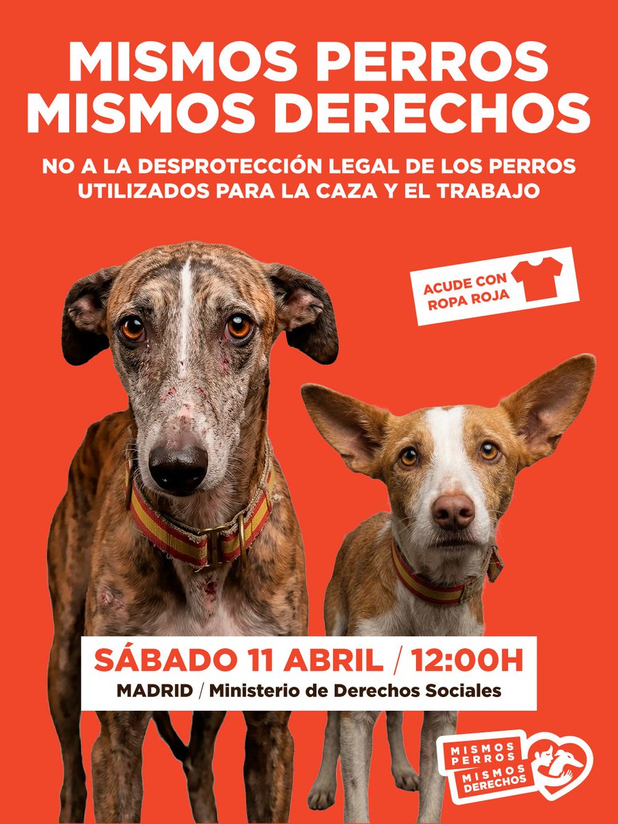 Fundación Animal Guardians tweet media