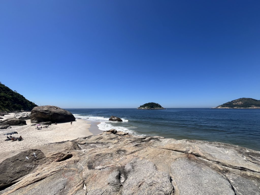 Xenon ･:*+. tweet media