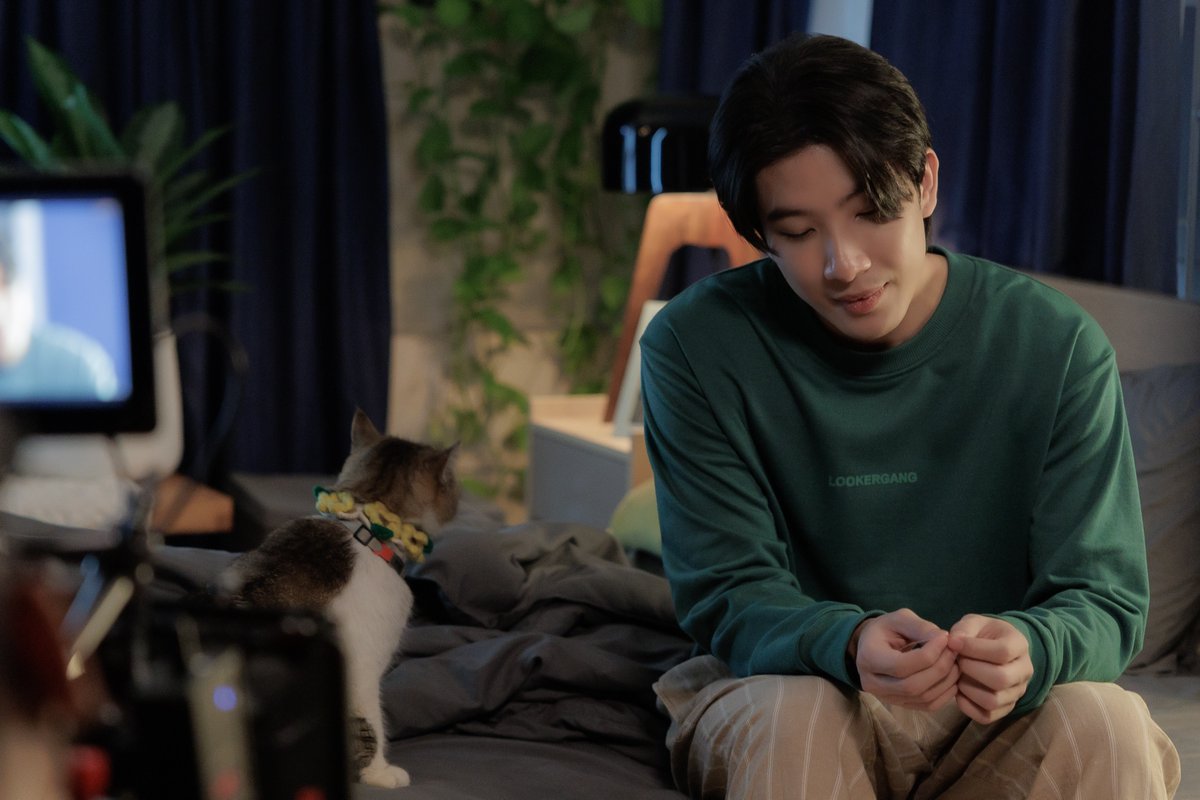 เปย์รักด้วยแมวเลี้ยง Cat For Cash 🐱 tweet media