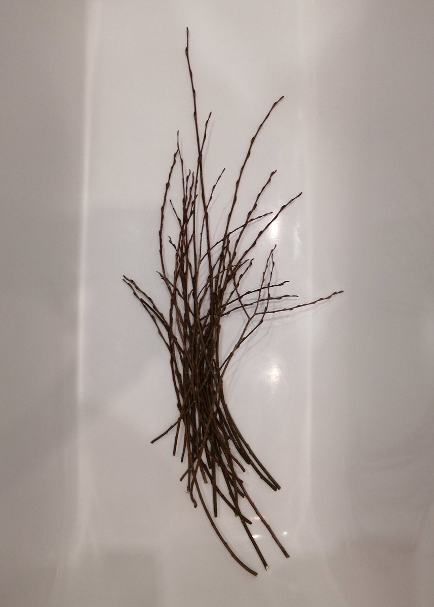 выгоревшая соевая снежинка 🤡🎪 tweet media