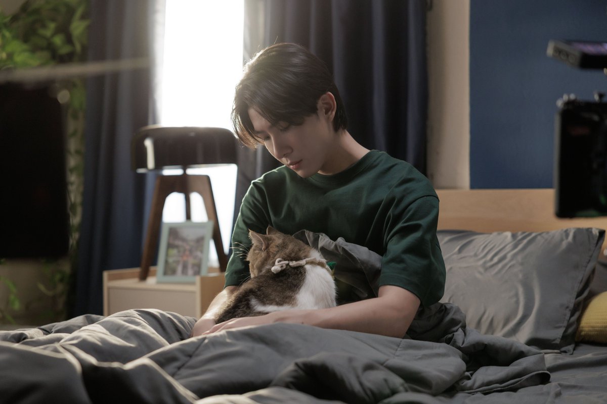 เปย์รักด้วยแมวเลี้ยง Cat For Cash 🐱 tweet media