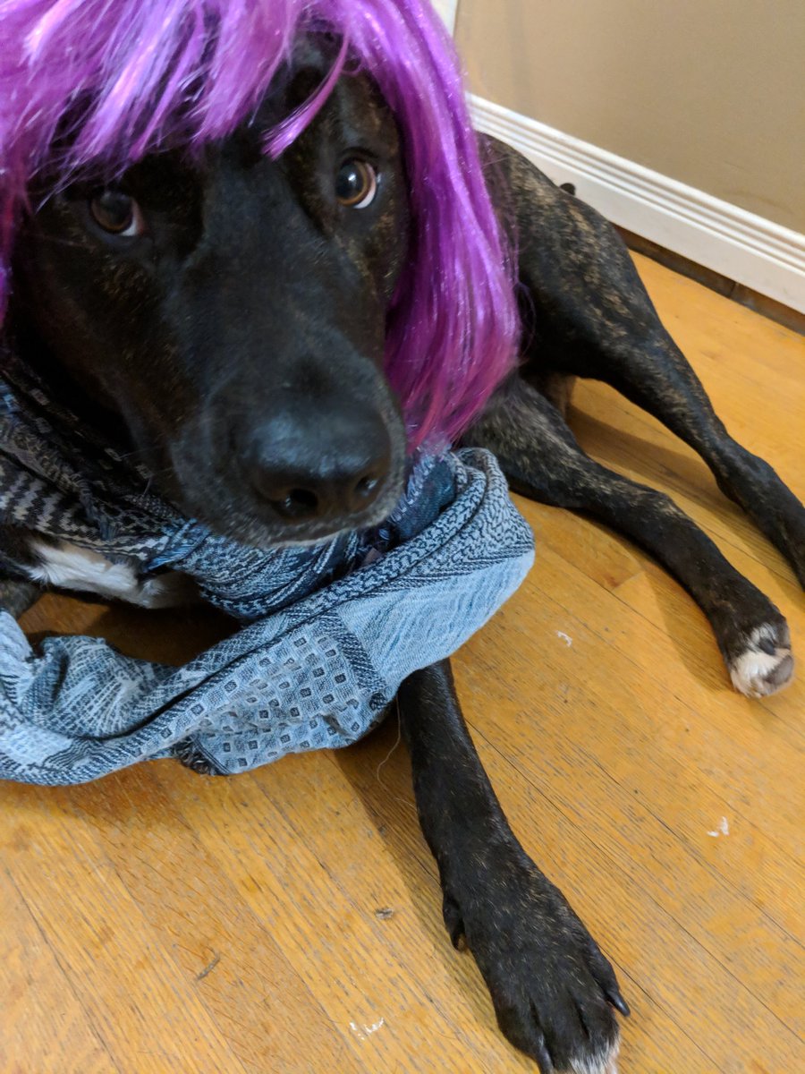 Nyanus 😻🍷 tweet media