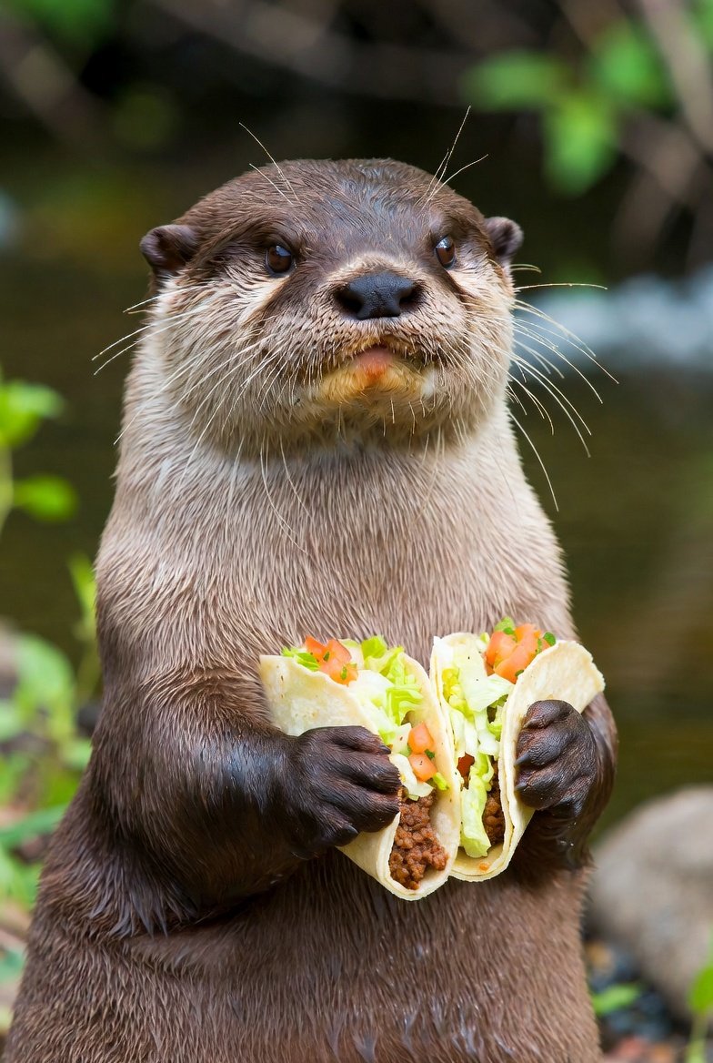 CBee🇺🇲 tweet media