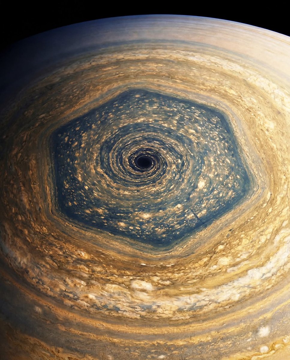 Dailyscienceinfo tweet media