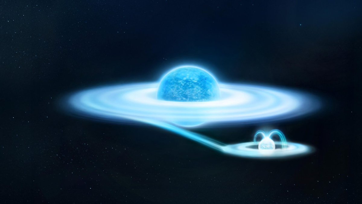 George Obeid tweet media