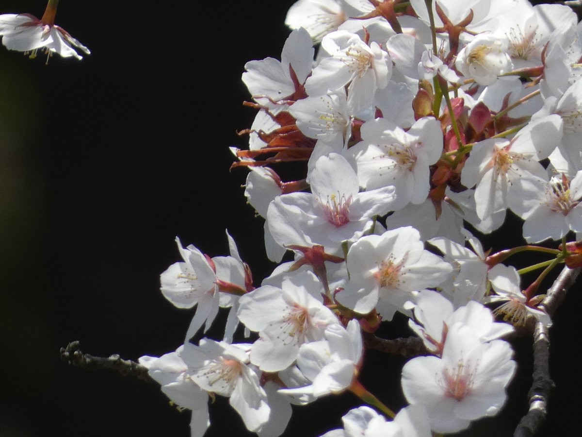 山下陽介 tweet media