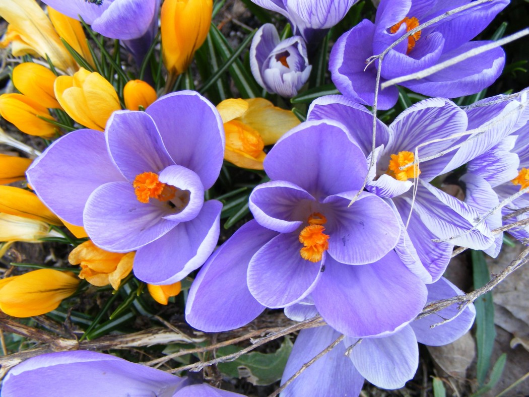 Radio Maria tweet media