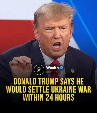 Joey Freshwater tweet media