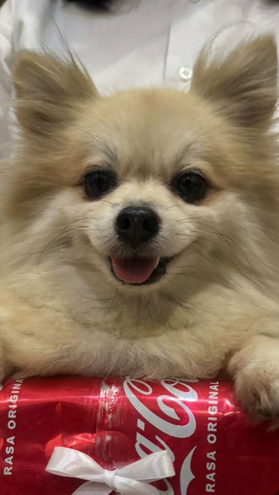 Jelly•⁠｡! tweet media