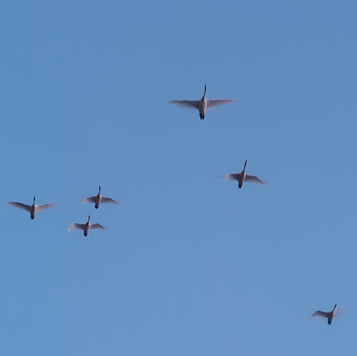 E *m i n a/えみな tweet media