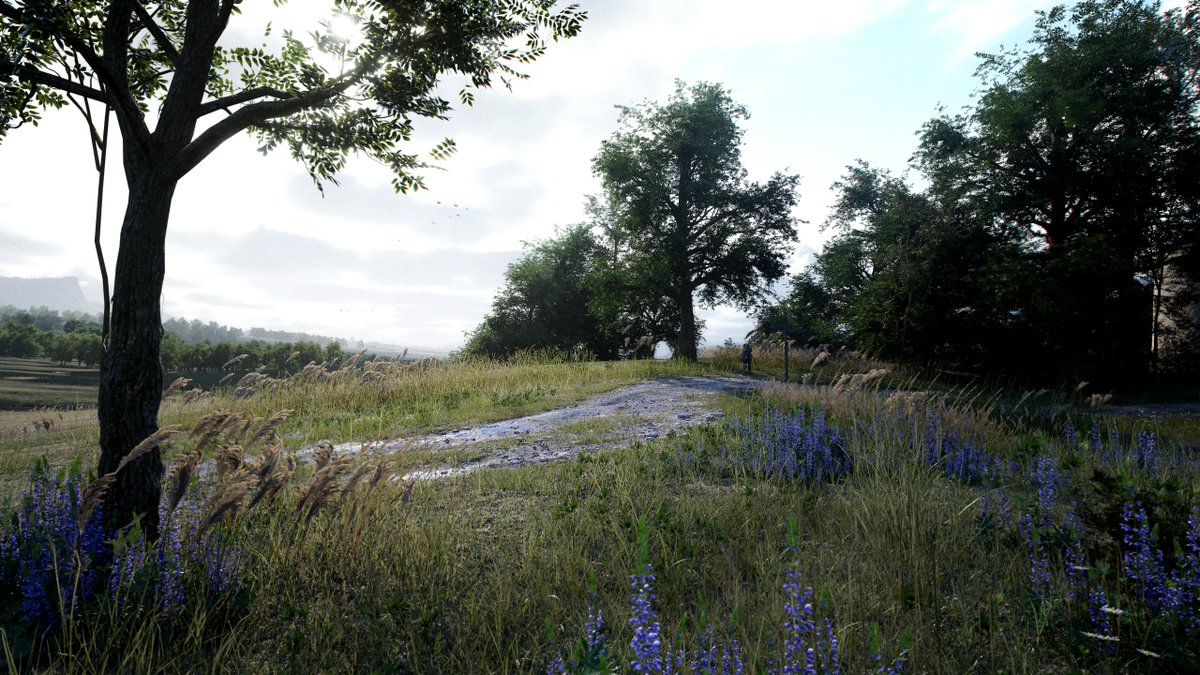 Jonathon Gregory Bick 🦑 tweet media